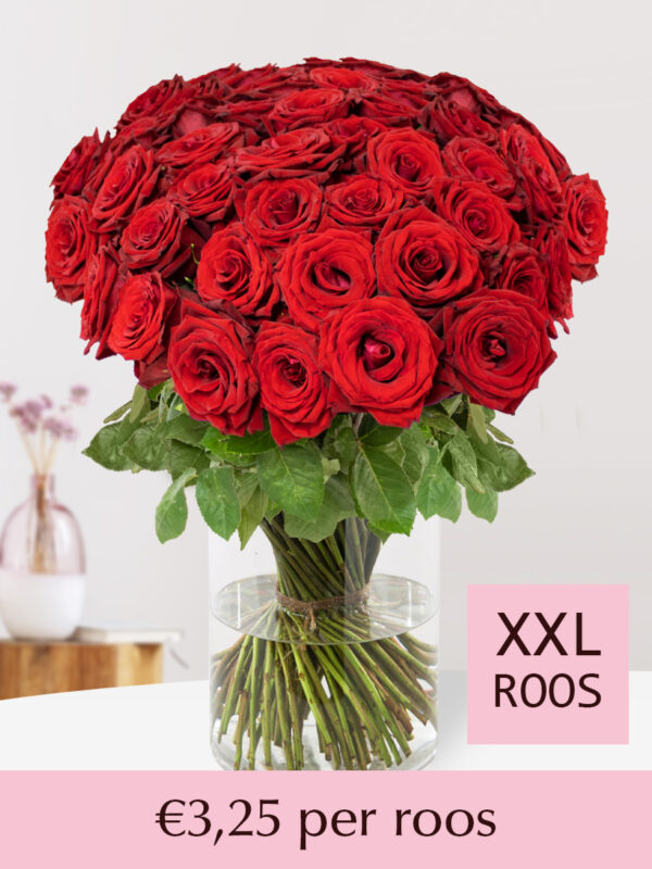Rode rozen - XXL rozen 70 cm - 20 t/m 99 rozen - Red Bentley