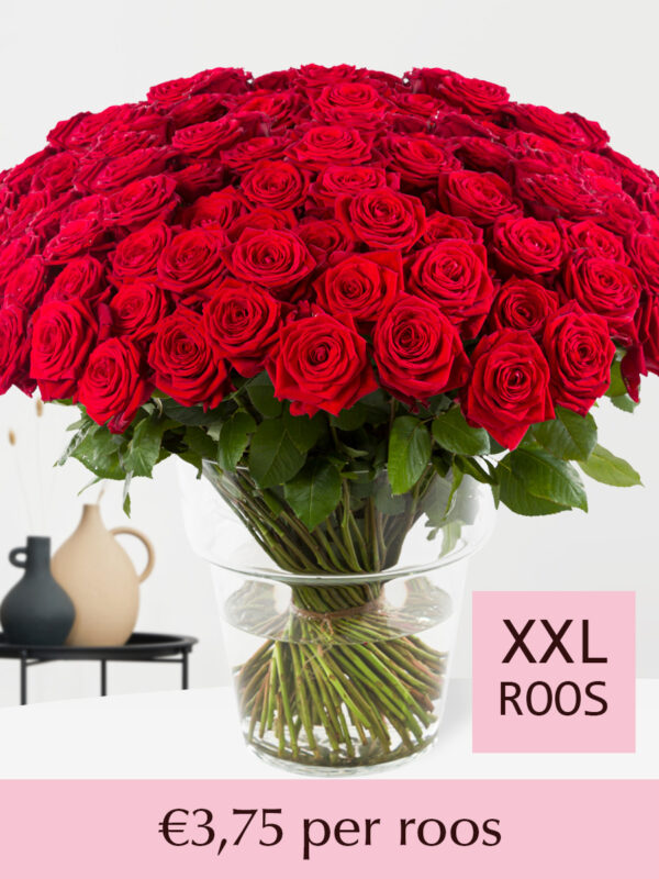 100 tot en met 499 rode rozen - Red Naomi - Valentijnsdag