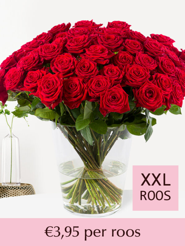 Rode rozen (Red Naomi) - Kies je aantal 10 t/m 99 - Valentijnsdag