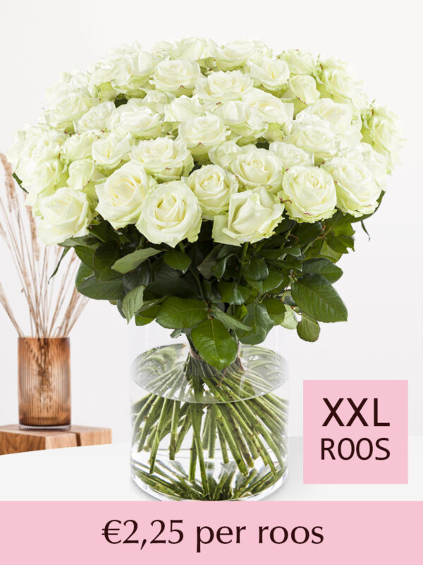 500 tot en met 1001 witte rozen - XXL rozen
