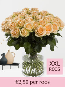 Vorige productafbeelding