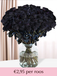 Vorige productafbeelding