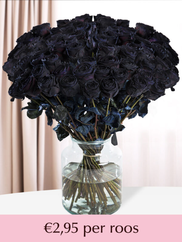 100 t/m 500 zwarte rozen - XL rozen