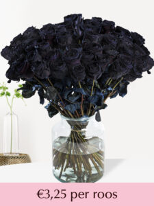 Vorige productafbeelding