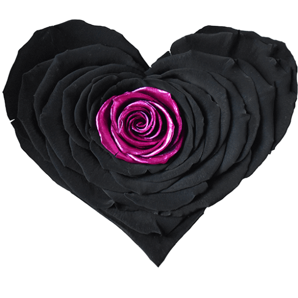 Longlife Rozenhartje zwart roze