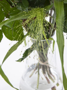 Vorige productafbeelding