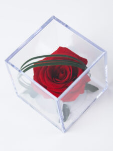 Vorige productafbeelding