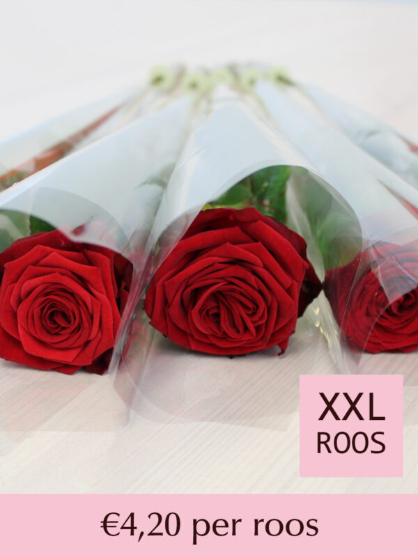Rode rozen per stuk verpakt - Red Naomi - 10 t/m 99 stuks