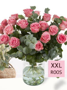 Volgende productafbeelding