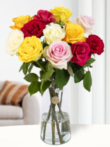 Volgende productafbeelding