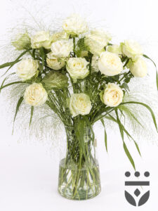 Volgende productafbeelding