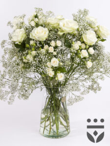 Vorige productafbeelding