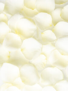 Vorige productafbeelding