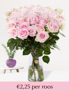 Volgende productafbeelding